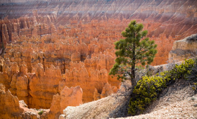 Bryce_20080425_028