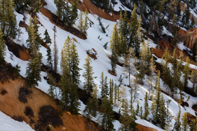 Bryce_20080425_078