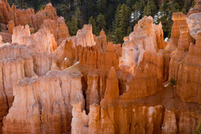 Bryce_20080426_106
