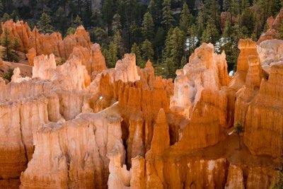 Bryce_20080426_119