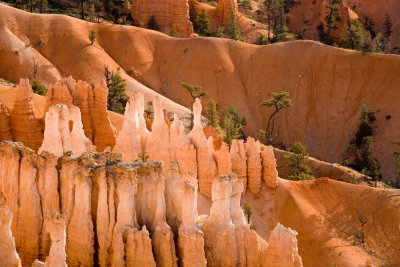 Bryce_20080426_156