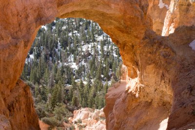 Bryce_20080426_180