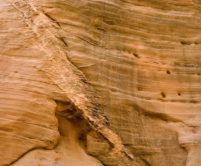Cottonwood_20080426_028