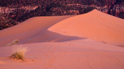 SandDunes_20080427_043