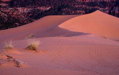 SandDunes_20080427_059