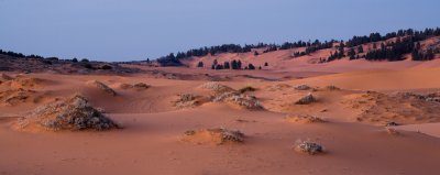 SandDunes_20080427_061