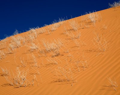 SandDunes_20080427_5233-2