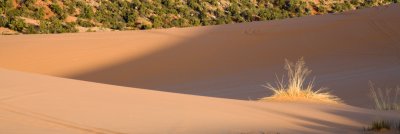 SandDunes_20080427_5286-2