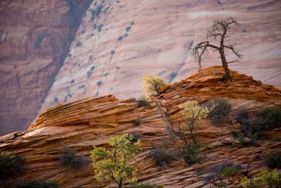 Zion_20080423_152