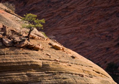 Zion_20080423_165