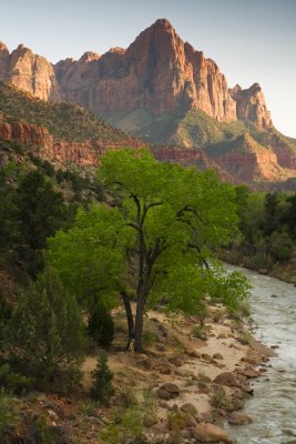 Zion_20080423_199
