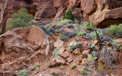 Zion_20080423_236