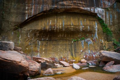 Zion_20080424_044-2-