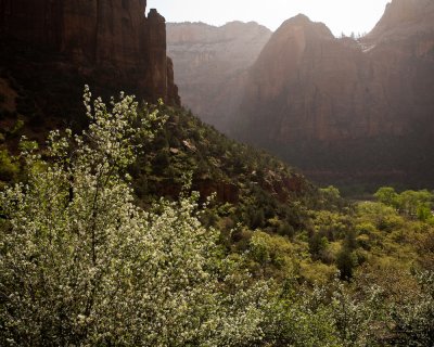Zion_20080424_124