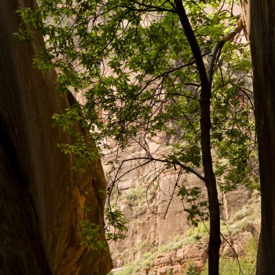 Zion_20080424_192
