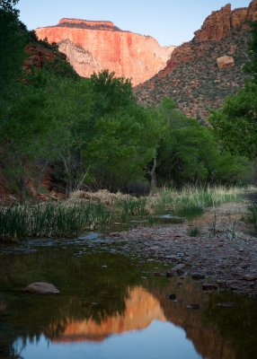 Zion_20080425_021