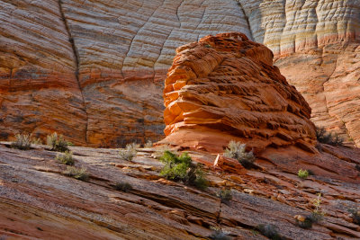 Zion_20080425_089