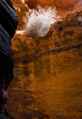 Zion_20080425_147
