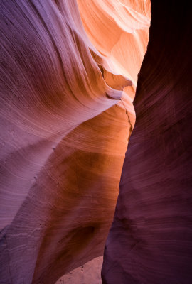 Antelope_20080427_008.jpg
