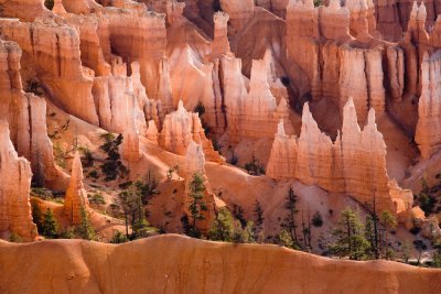 Bryce_20080426_163.jpg