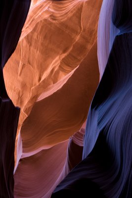 Antelope_20080427_039.jpg