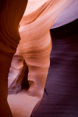 Antelope_20080427_127.jpg