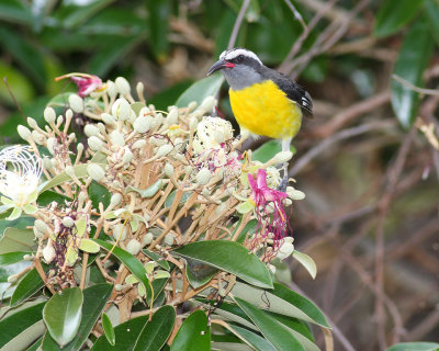 IMG_6792_web.jpg