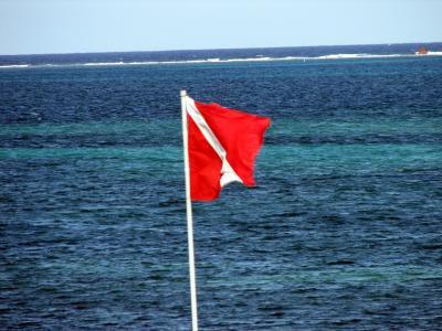 Divers down flag at Ocean Frontiers