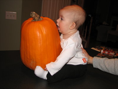 tasty pumpkin