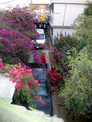 Jardin de la casa avec le stationnement pour les voitures