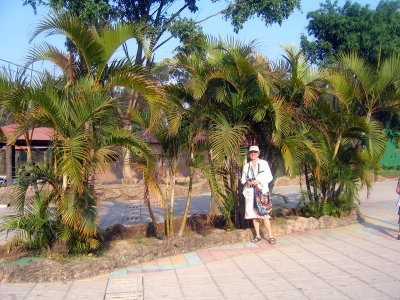 Jardin botanique  la capitale Guatmala