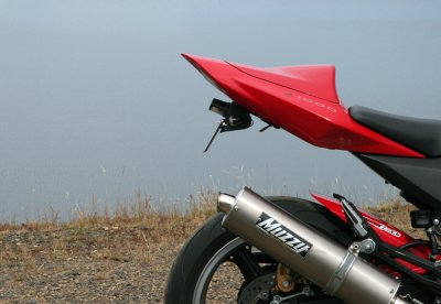 IMG_8796.jpg