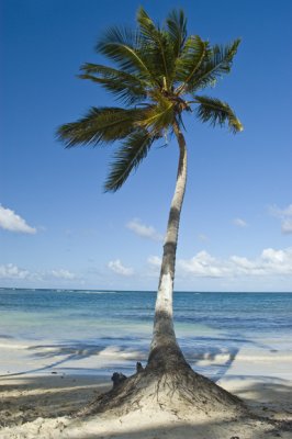 Playa Las Galeras - Samana, Dominican Republic