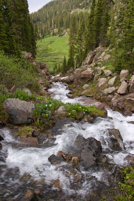 _MG_7129.jpg