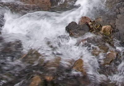 _MG_7129crop.jpg