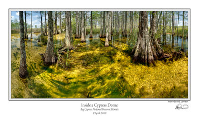 Inside Cypress Dome.jpg