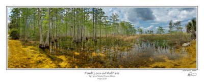 Mixed Cypress Marl Prairie.jpg