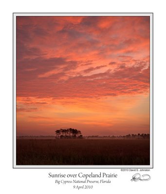Sunrise Copeland Prairie.jpg