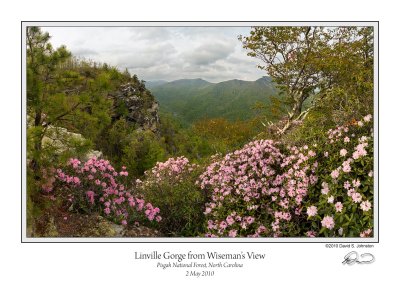 Linville Gorge from Wisemans View.jpg