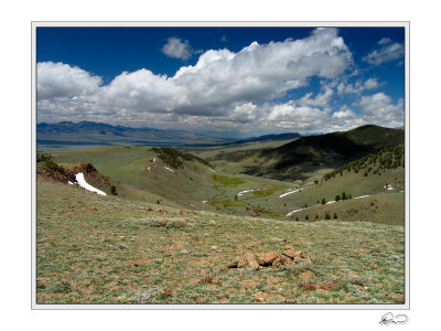 Headwaters Stewart Creek.jpg