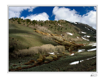 Stewart Creek Headwaters.jpg