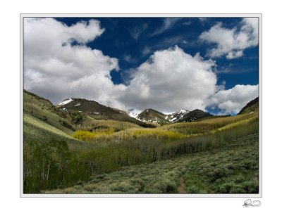 Toiyabe Crest - Stewart Creek Drainage.jpg