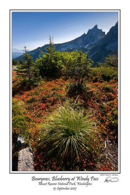 Beargrass Blueberry.jpg