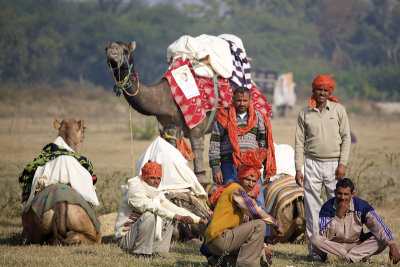 Gujjar