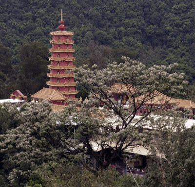 Monastery of Ten Thousand Buddhas