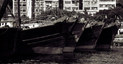 Fishing Boats, Aberdeen in Hong Kong