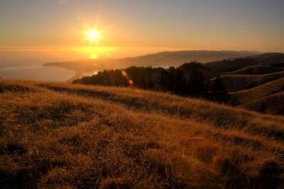 Mount Tamalpais State Park