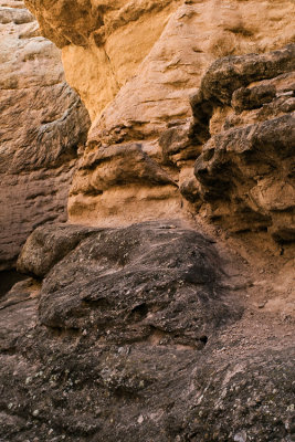 gnarled rock