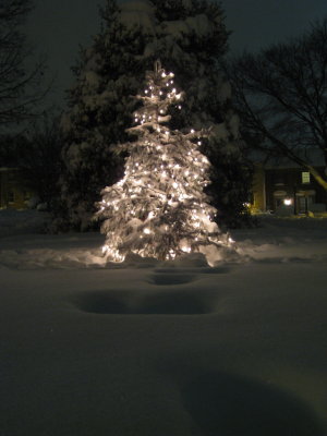 IMG_7219.JPG