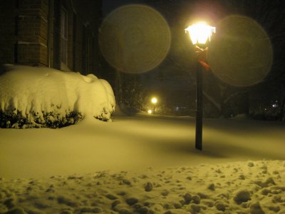 IMG_7231.JPG